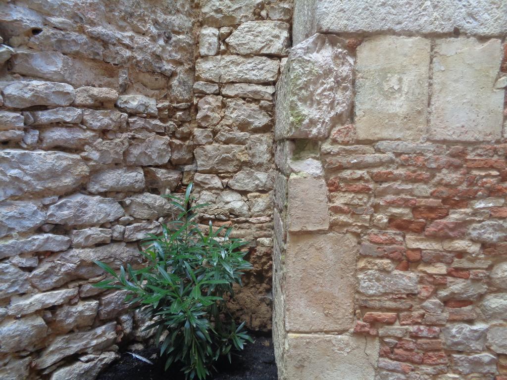 B&B Le Chat Qui Dort Montricoux Ngoại thất bức ảnh